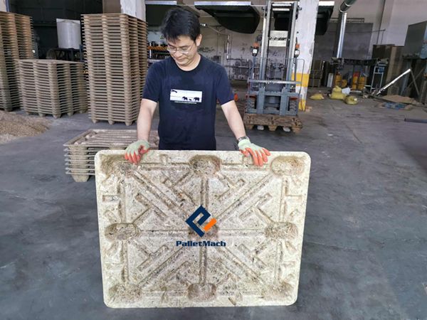 bagasse pallet