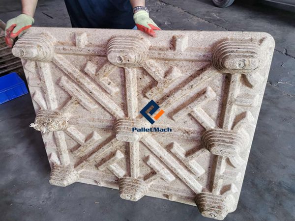 bagasse pallet PalletMach