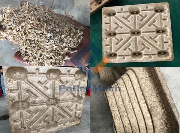 pressed bagasse pallet