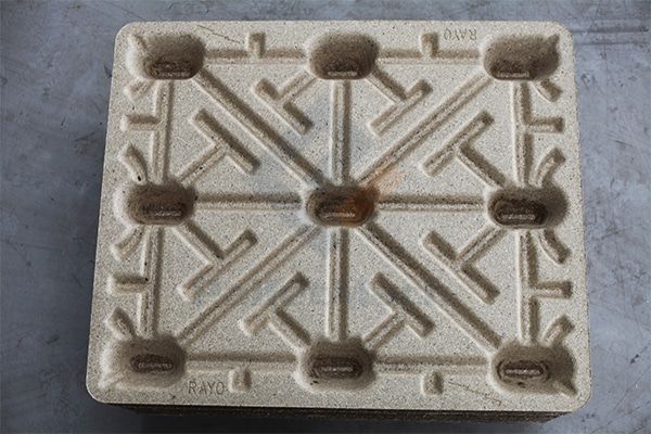 mold pallets