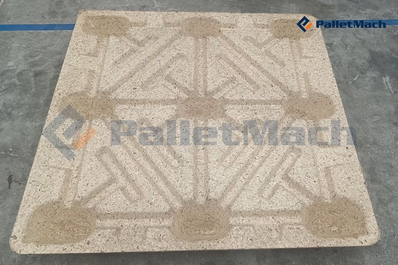 molded pallet