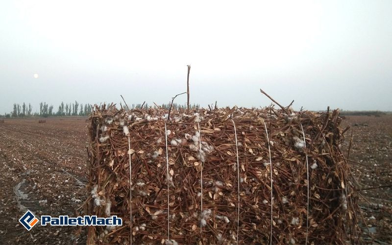 Baled cotton stalk feedstock from Xinjiang, China, delivered to the PalletMach plant for a fibre pallet machine trial