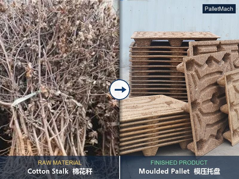 <strong>Cotton Stalk to Pallets-Client Visit to Test Fibre Pallet Machine</strong>