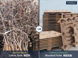 <strong>Cotton Stalk to Pallets-Client Visit to Test Fibre Pallet Machine</strong>