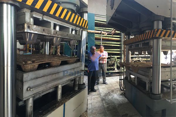 Iran presswood pallet making machine testing
