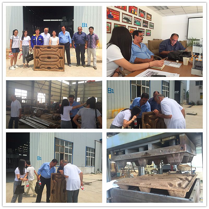 Iranian customer visit pallet machine factory