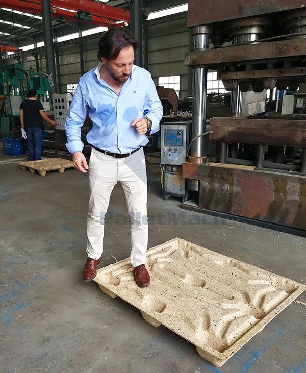 Portugal customer test presswood pallet
