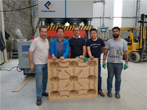 Pressed Wood Pallet Machine Commissioning in Brazil